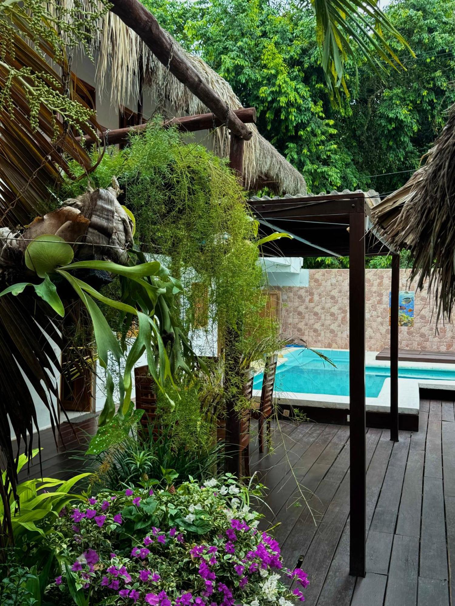 Hostal Nibuni Palomino Buitenkant foto