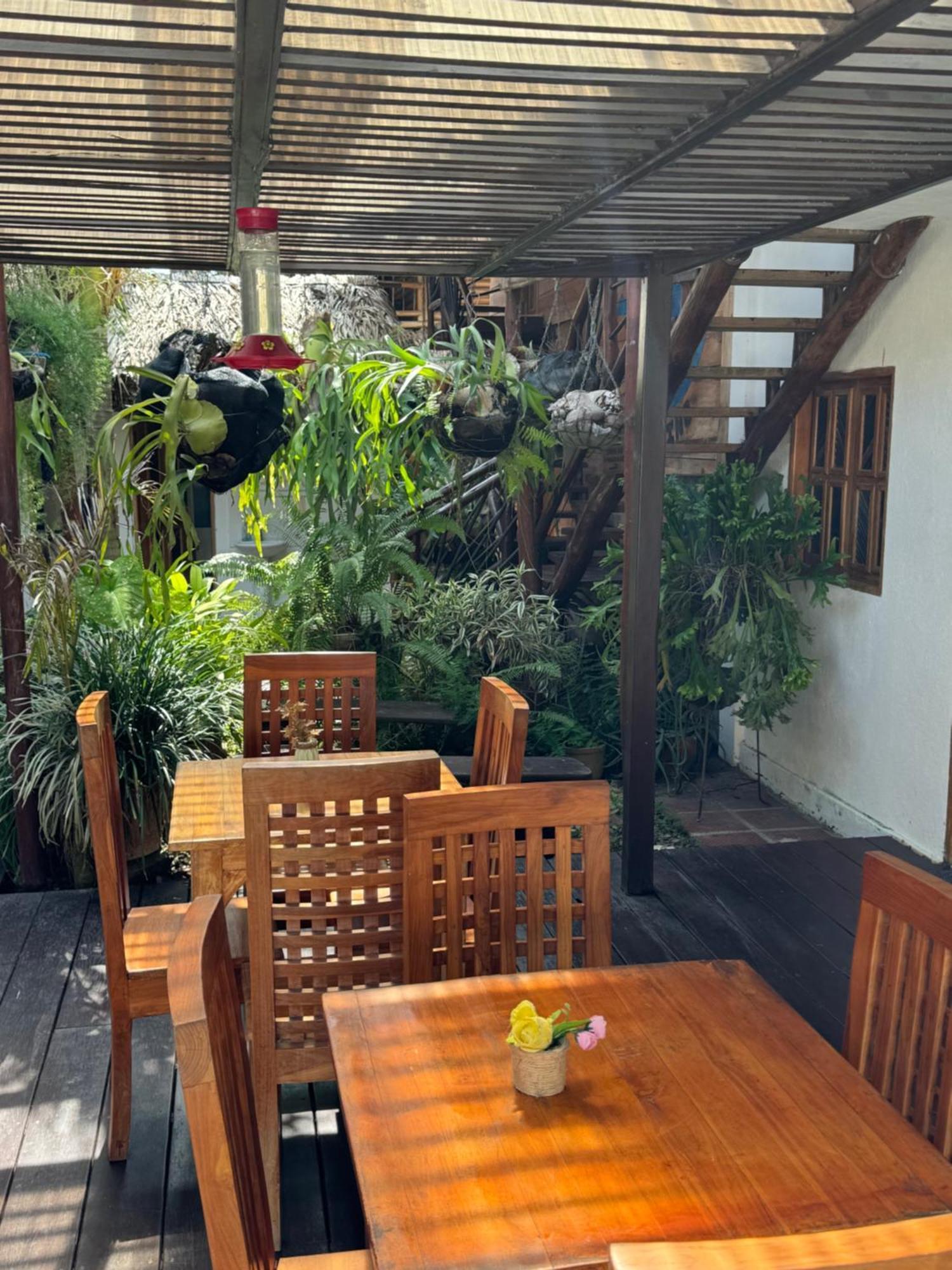 Hostal Nibuni Palomino Buitenkant foto