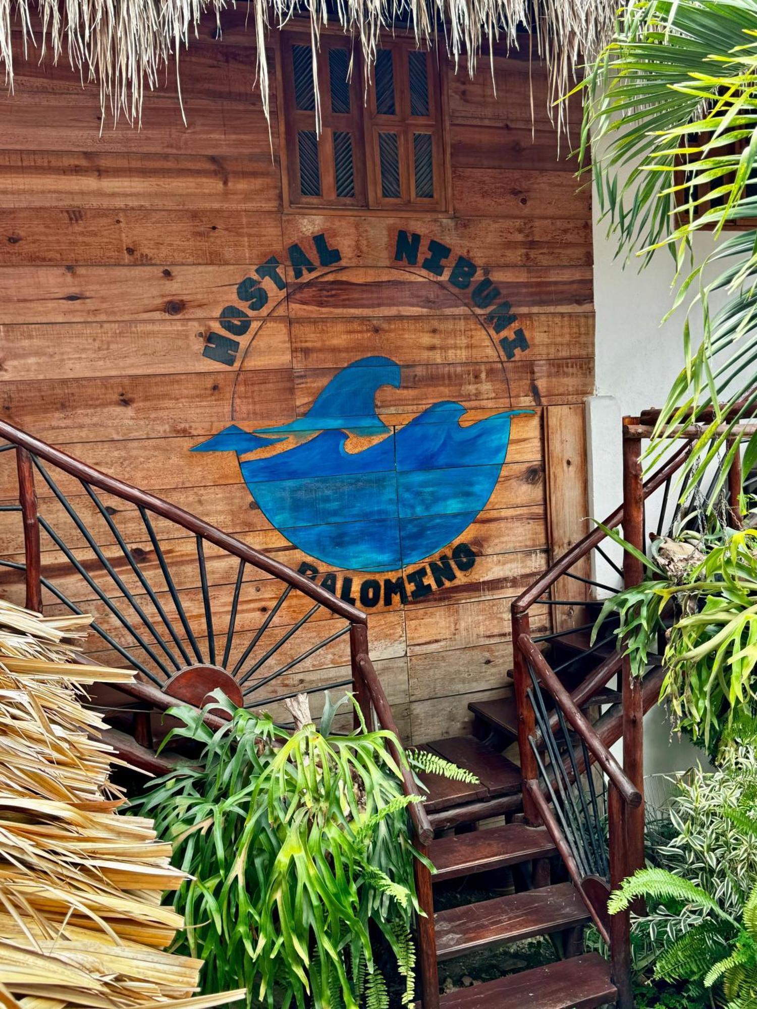 Hostal Nibuni Palomino Buitenkant foto