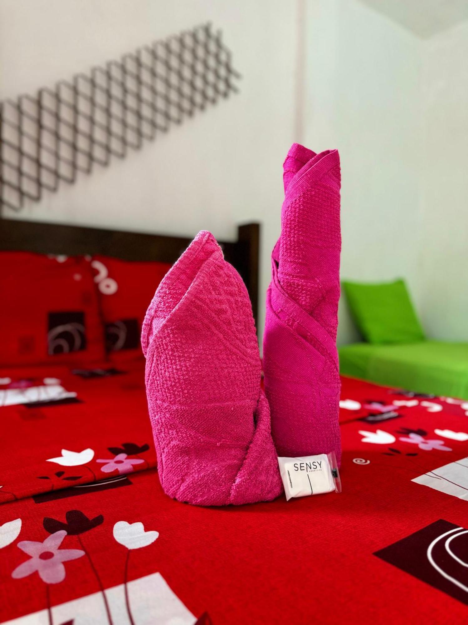 Hostal Nibuni Palomino Buitenkant foto